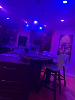 RGB LED ceiling lights in purple and blue tones illuminating a dining and living area